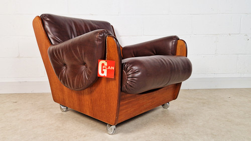 Wilkins plan saddleback - k.m, g