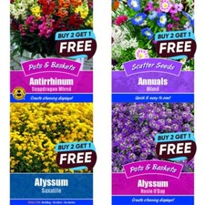 Flower Seeds UK Grow Your Own Outdoor Plants Borders | More Than 77 varieties