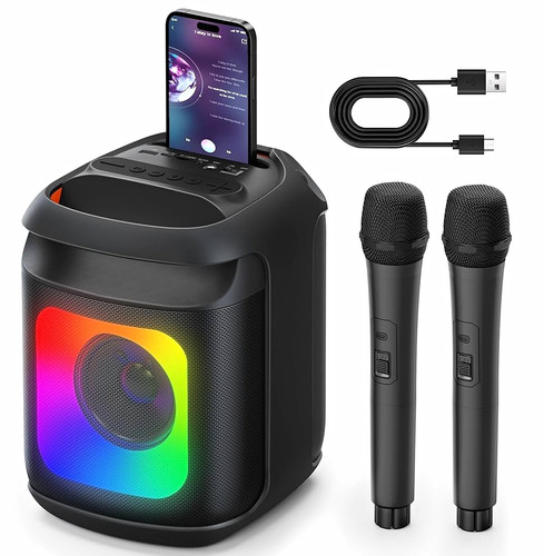 Portable karaoke system - portable, with