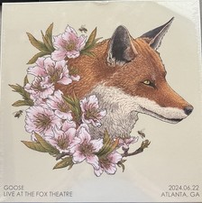 Goose - Live at the Fox