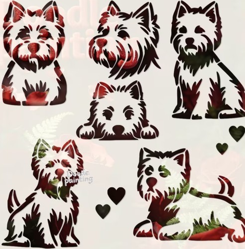 Westie west highland terrier - westie,