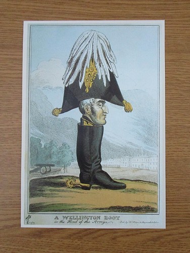 Duke of wellington - 8.2",