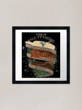 Types of Ball Pythons Toasted