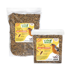 Love Wildlife Dried Calciworms - Premium Quality Wild Bird Food, Treat Tub BSFL