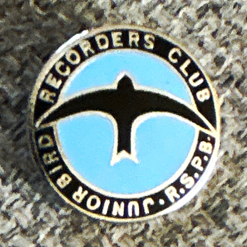 Recorders club junior - recorders, bird