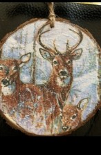 Wood log slice  Rustic