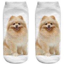 Furever Gifts Pomeranian Puppy