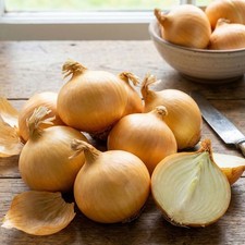 Shallot Yellow Moon 10 Sets