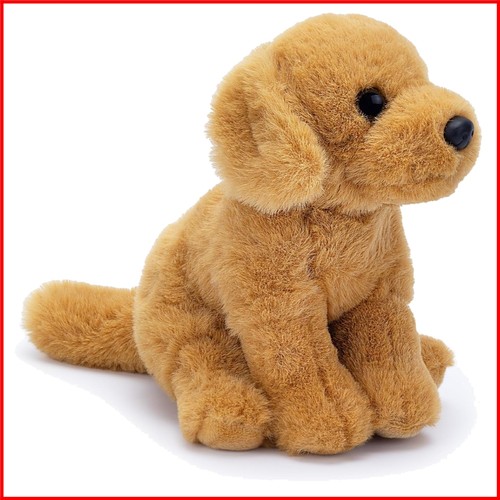Educational golden retriever - educational,