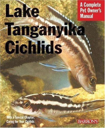 Lake tanganyikan cichlids pet - lake,