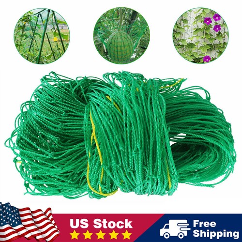 Garden plant climbing net - plant,