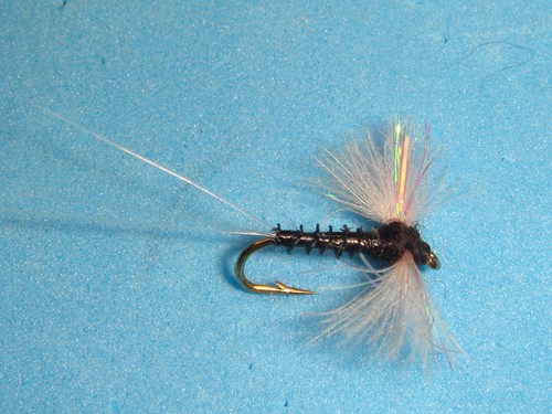 Fly fishing flies black - flies,