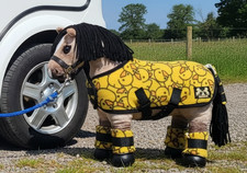 Le Mieux Toy Pony Travel set