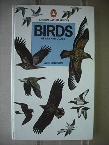 Birds sea and - of,
