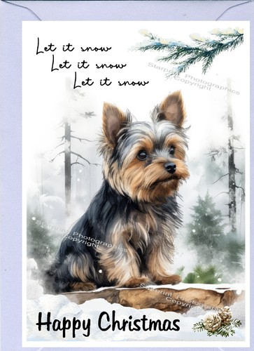 Yorkshire terrier yorkie dog - /,