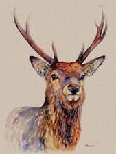 Jane Bannon - Proudlock - Canvas Print Wall Art 3 sizes available - Deer Stag