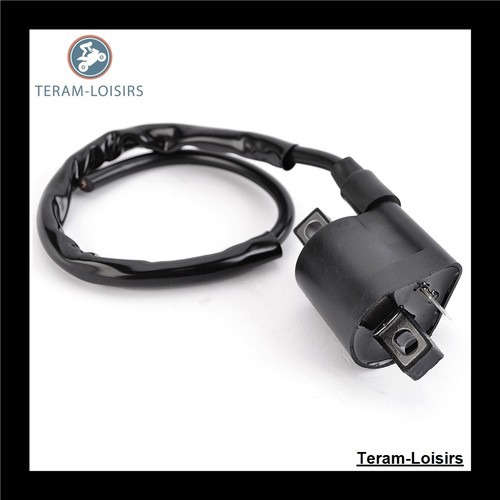 Ignition coil for - ignition,
