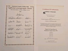 Somerset Cricket CCC 1995