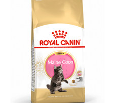 ROYAL CANIN MAINE COON KITTEN 400G 2KG 4KG 10KG junior cat food rc pet feed meal