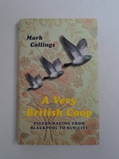 Very british coop pigeon - a,