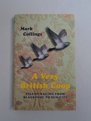 Very british coop pigeon - a,
