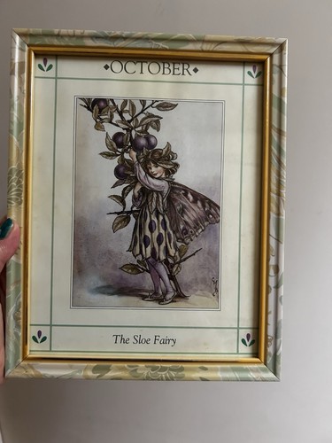 Flower fairies the sloe fairy - the,