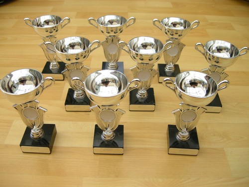 Trophy cup silver - cup, job