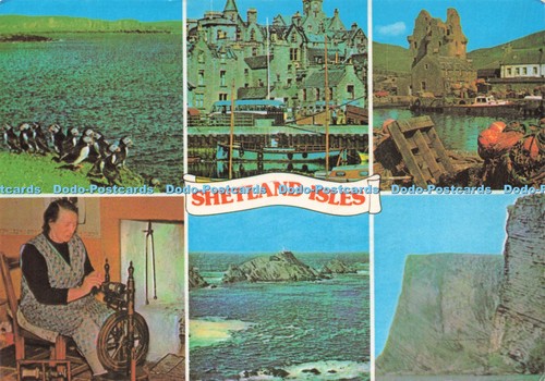 D225732 shetland isles puffins - shetland,