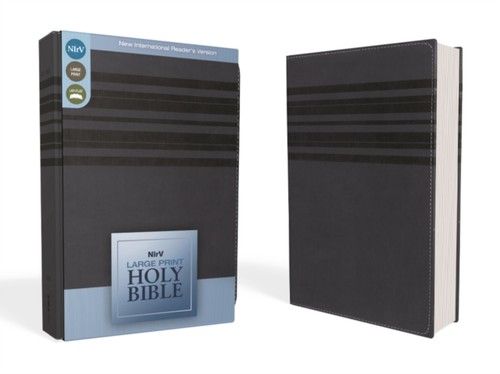Nirv holy bible large print - nirv,