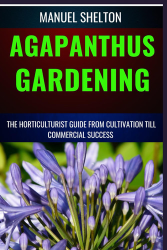 Agapanthus gardening - agapanthus,