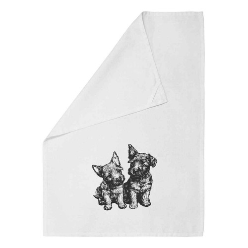 Scottish terrier puppies - terrier, puppies'