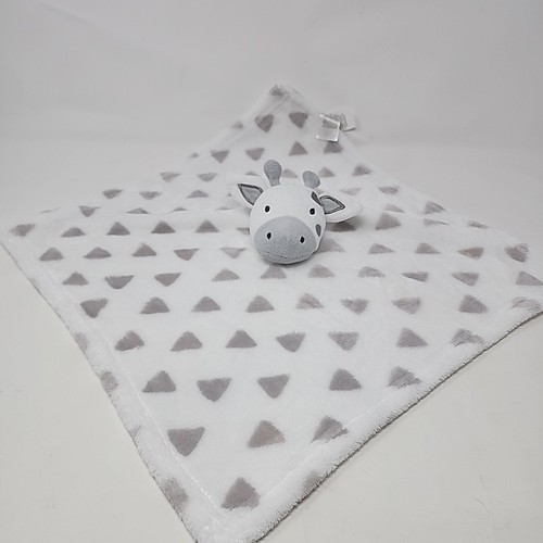 Early days giraffe white grey - giraffe,