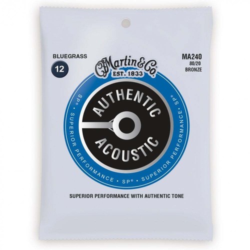 Martin authentic acoustic - martin,