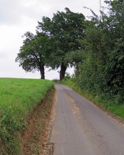 Photo 6x4 Newbourne: up The