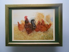 Gordon Beningfield print 'Rhode Island Reds' Chickens  FRAMED