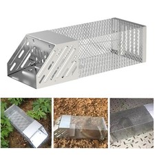 Rat trap squirrel - squirrel, heavy