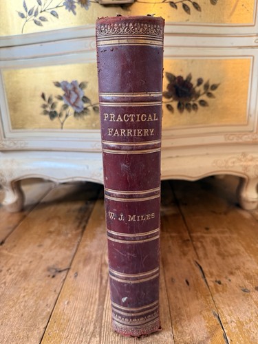 Antique equestrian reference - antique,