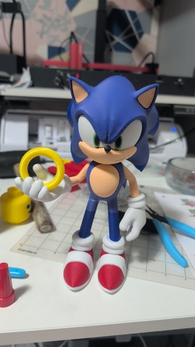 Sonic the hedgehog printed - the, 3d