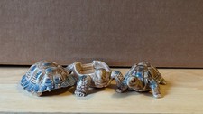 Wade Porcelain Tortoises – Trinket Box & Ornament.