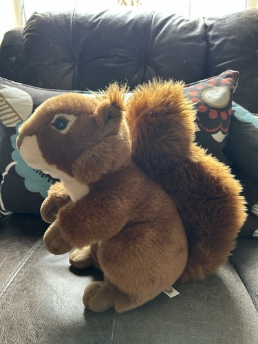 Red squirrel cuddly - squirrel, toy