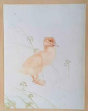 DUCK DUCKLING - 1915 Print By DETMOLD