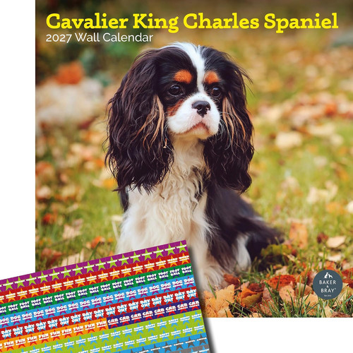 Cavalier king charles calendar - king,