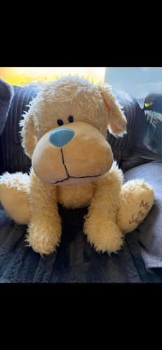 Blue nose friends yellow xl - my,