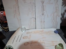 Vintage Rare Large Medical  Posters 19 Total Job Lot 1970s  Collectable Items 