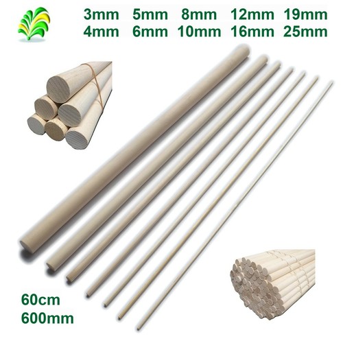 Pack 60cm hardwood wooden - 10,