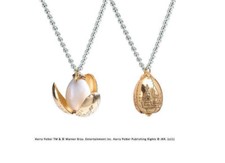 Harry Potter Golden Egg