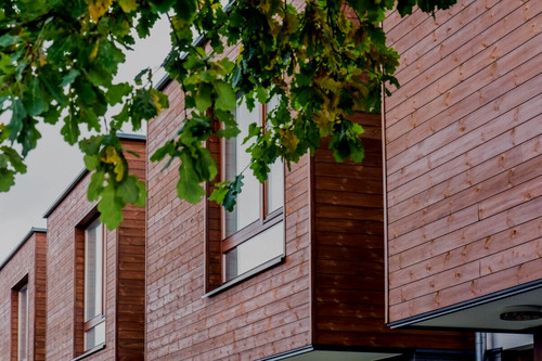 Cladding thermowood tongue - thermowood,