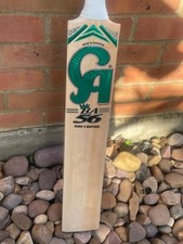 English willow cricket - english, bat