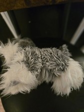 Keel Toys Signature Cuddle