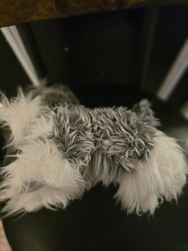 Keel toys signature cuddle - keel,
